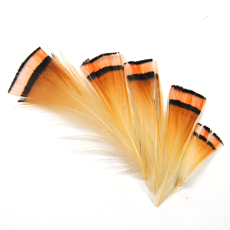 50PCSธรรมชาติสีGoldenไก่ฟ้าหัว - Fishing Equipment Brands บทวิจารณ์และราคา